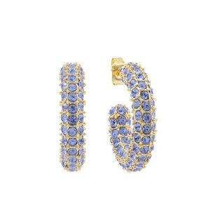 Lisa Gozlan Bold Crystal Hoop